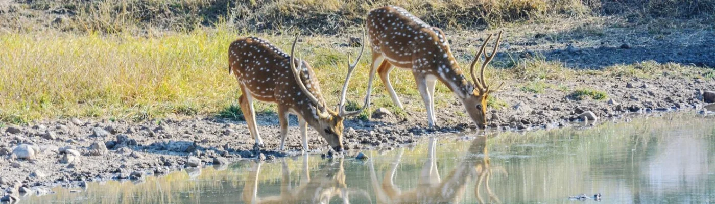 Kruger National Park